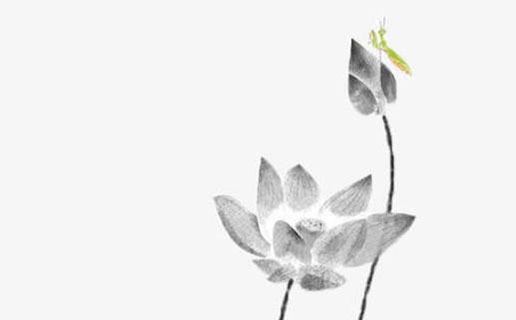 牛年午時出生的男孩命運怎麼樣 午時出生的十二生肖男的命運