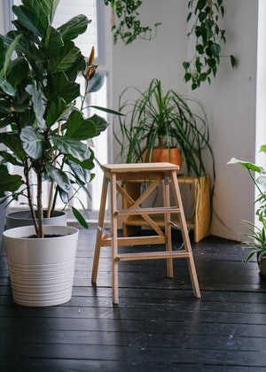 家中有幾個財位?這三個位置要重視