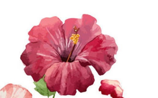 家裡三個屬牛的好嗎 家裡有三個屬牛的運勢會如何