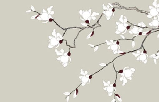 車牌9開頭很厲害嗎 數字9有利於車主理財