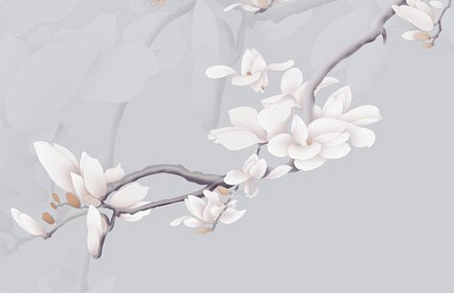 車牌尾號是0好不好 旺貴人運車牌號碼