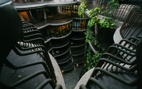 十二生肖選樓層的技巧，打破舊觀念更好運