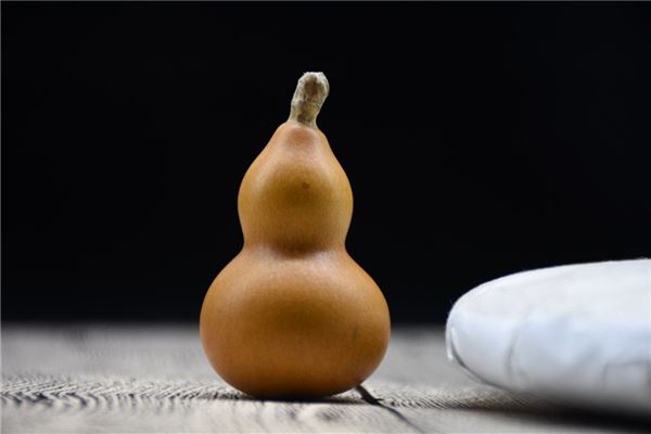 家裡種葫蘆有忌諱嗎