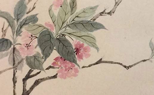 屬鼠的幾點出生有福氣 上午七點出生的屬鼠人有計謀