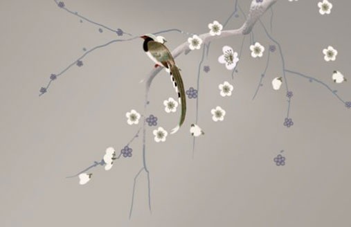 選車牌號數字禁忌 更為吉祥的牌號分析