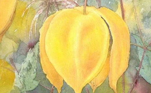 屬鼠的午時出生的男的好不好 午時出生的屬鼠人適合從事什麼行業