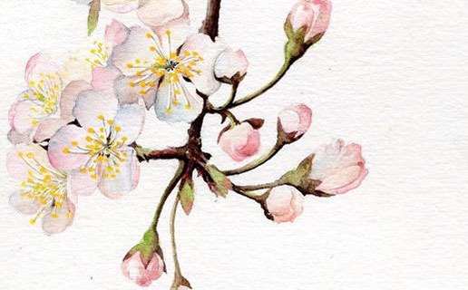 午時出生的屬相是什麼 午時出生之人的運勢如何