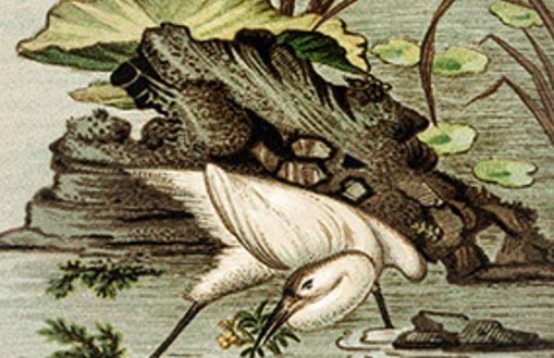 手機號222好不好 五行最旺財運號碼對照