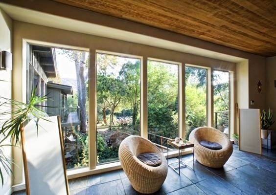 室內植物風水如何布置選擇