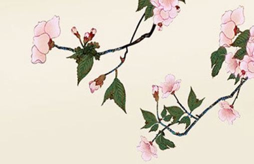 車牌尾數是0吉利 財源滾滾的車牌號