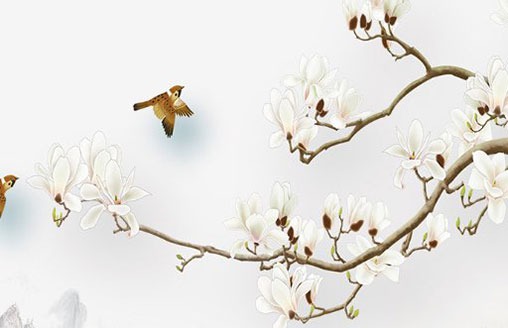 根據手機號碼看個人運勢 尾號吉祥磁場推薦