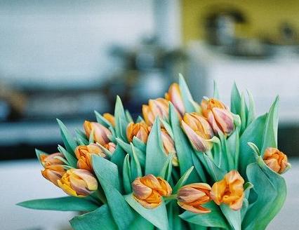 提升家運的五大風水秘招