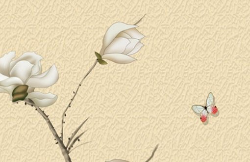 屬牛的小暑出生命好不好 小暑的含義是什麼