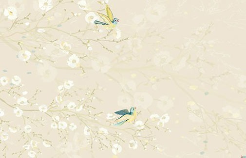 車牌號59和95哪個好 大吉吸睛的車牌號碼