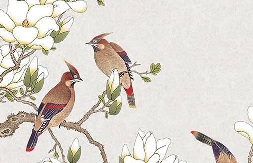 車牌號0到9吉凶 數字的特殊意義