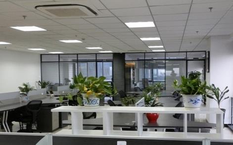 辦公室植物如何正確擺放