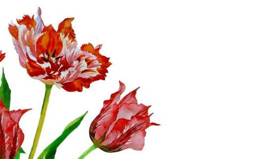 2021的寶寶是什麼命格 2021年出生的人五行屬什麼