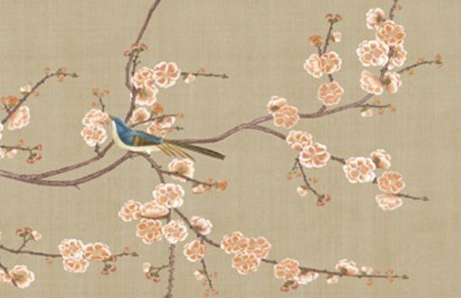 車牌號尾號66好嗎 最旺運勢車牌字母