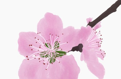 屬牛農歷出生最好的日子,幾點生肖牛富貴命