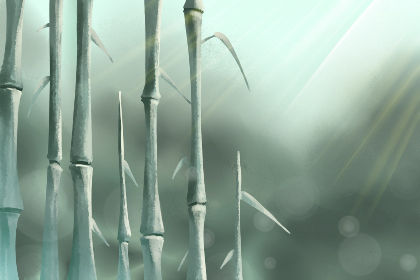 家裡財神位放什麼東西招財