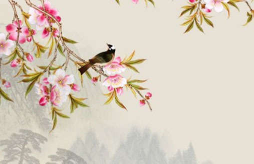 車牌號120真的不吉利嗎 吉祥招財的尾數