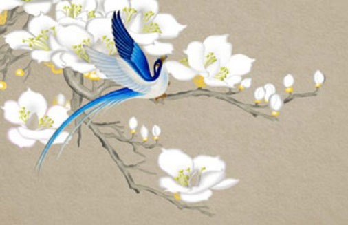 車牌號後面00好嗎 汽車最佳有意義的牌號