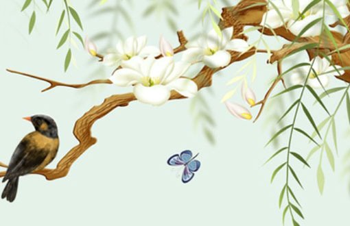 車牌號5和7為什麼好 吉利車牌號選擇技巧