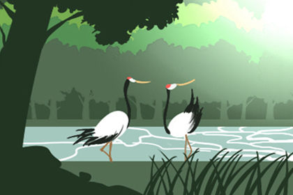 樓層和屬相不合如何化解?根據五行?