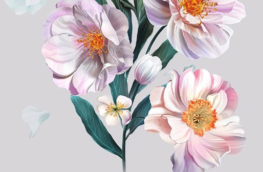 屬牛人幾月份出生命運最好,生肖牛幾月生最苦