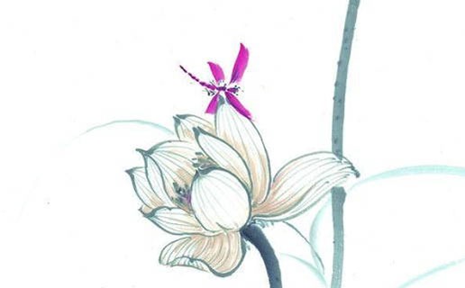 2021年屬狗女會懷上寶寶嗎 屬狗女可以生牛寶寶嗎