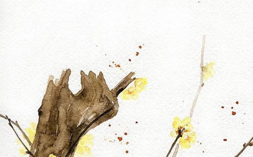 2021年出生每月寶寶運程解析 八月出生的牛寶寶身體很健康