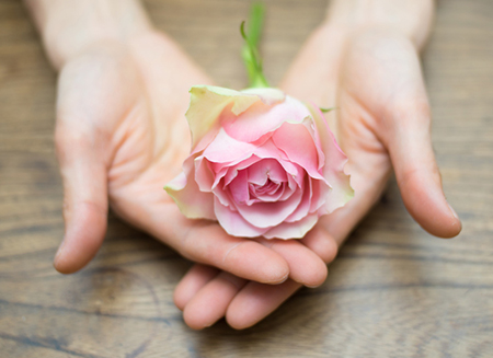 2020年家裡有小蜘蛛是吉是凶