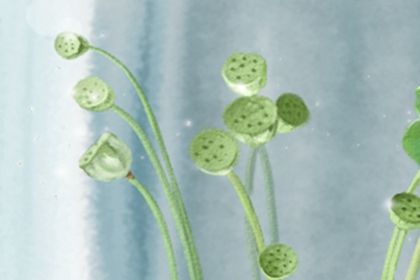 家居風水,窗戶哪邊擺放床會衰運