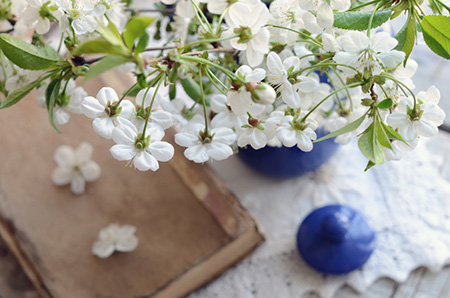 2020年危害家人健康的風水隱患