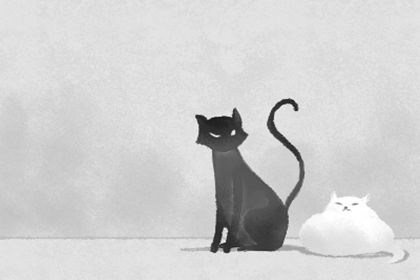 風水知識 廚房灶台有什麼風水禁忌