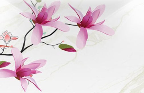 生肖屬蛇吉祥手機號碼 吉祥如意的招財手機號