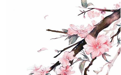 2021年九月出生什麼時候懷孕 九月出生的牛寶寶是什麼命