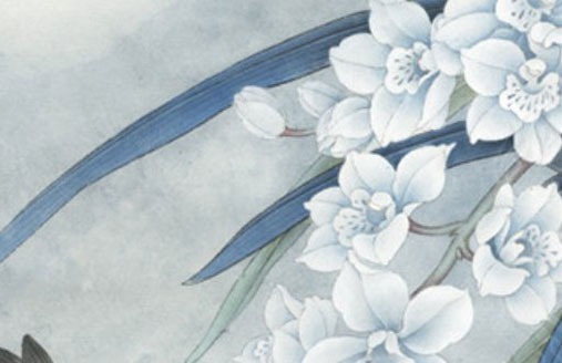 寓意發財三位數車牌號 最新版大吉牌號