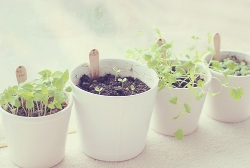 家居風水必備的化煞方法