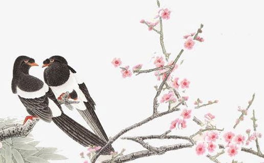 女孩子午時出生不好嗎 午時出生的女孩有富貴命嗎