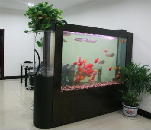 養魚化煞有功效 必要避忌要先知