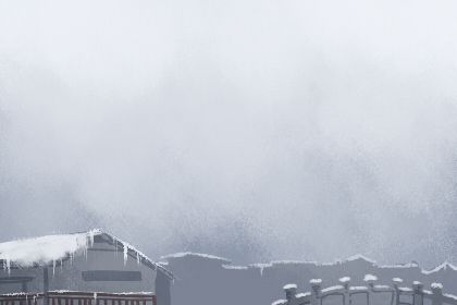 家裡放這些東西今年一定福星高照！