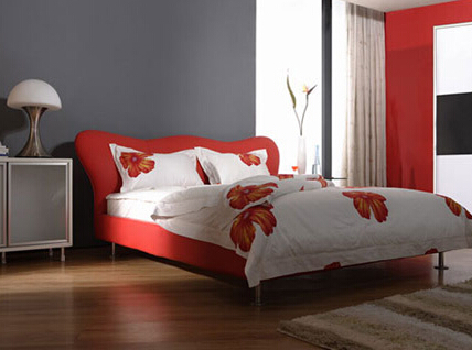 風水對雙胞胎的影響