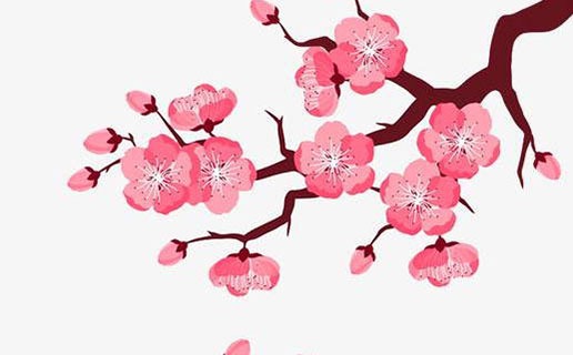 牛寶寶幾月出生大富大貴 屬牛人今年的運勢如何