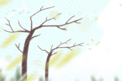 卧室里放鏡子好不好，需要注意什麼