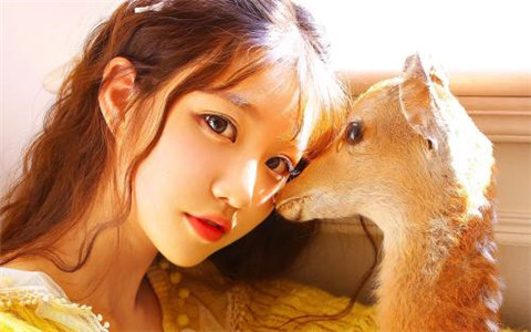 冰箱上面放什麼植物風水好，冰箱適合的方位