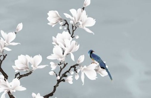 車牌號111什麼含義 最旺婚運字母數字