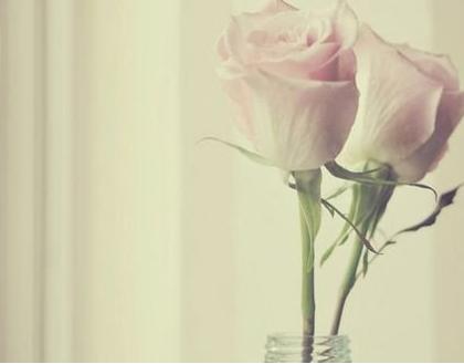 鞋櫃的風水禁忌