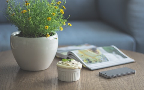 進門鞋櫃上放什麼招財?這三種是明智之選!