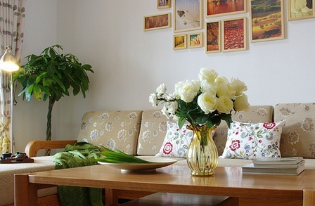 家居風水植物有哪些